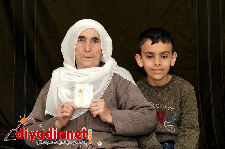 asırlık çınarları Bingöl