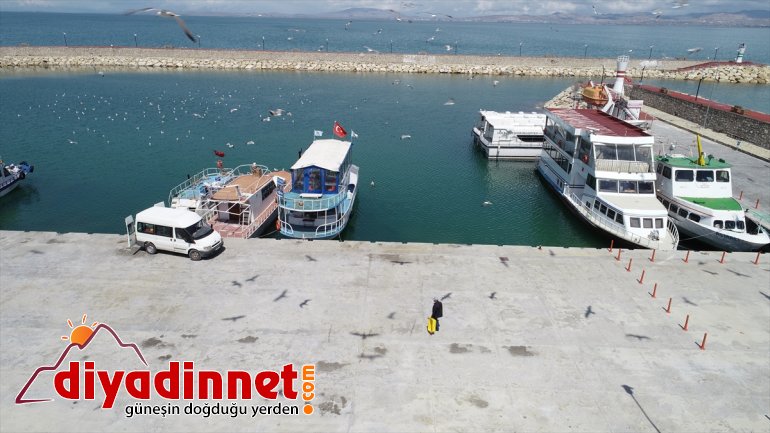 karadan korunacak süresince -  havadan İnci av ve VAN yasağı kefali, 2