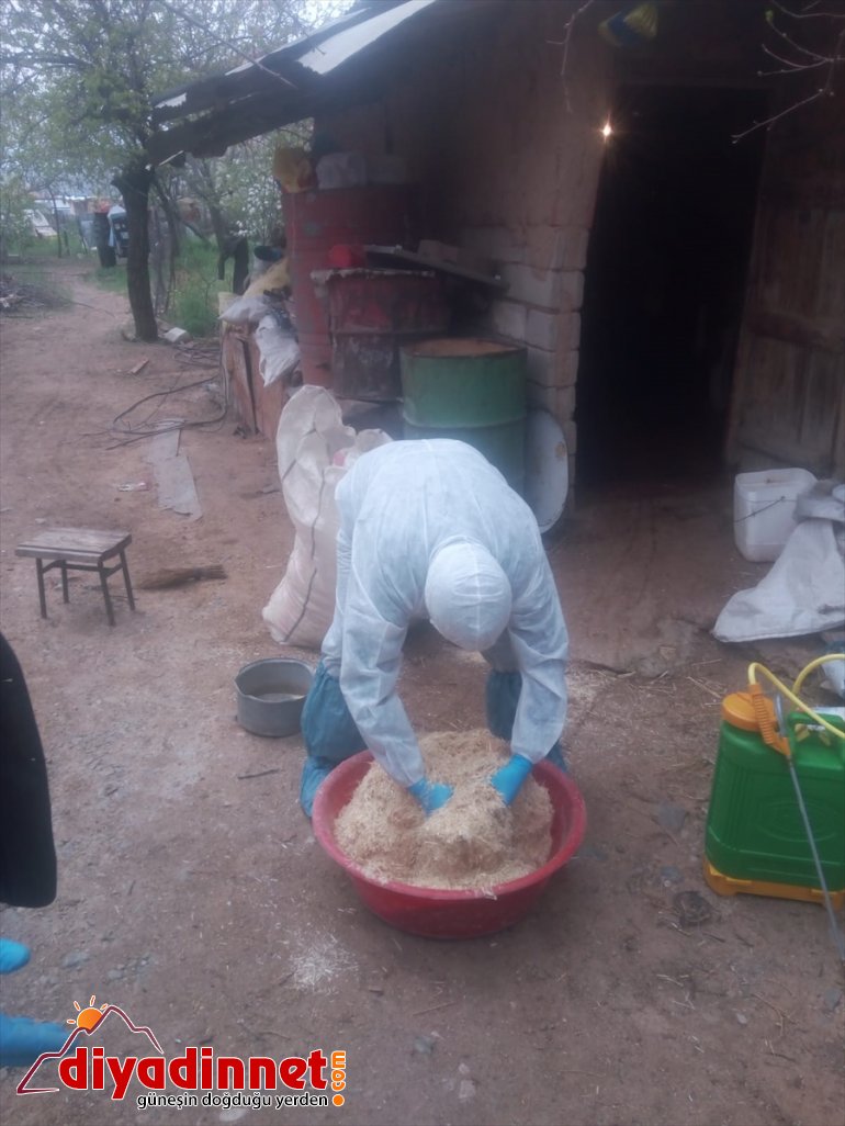 Vefa Destek ekibi Sosyal Karantina hayvanlarına ailenin altındaki baktı 4