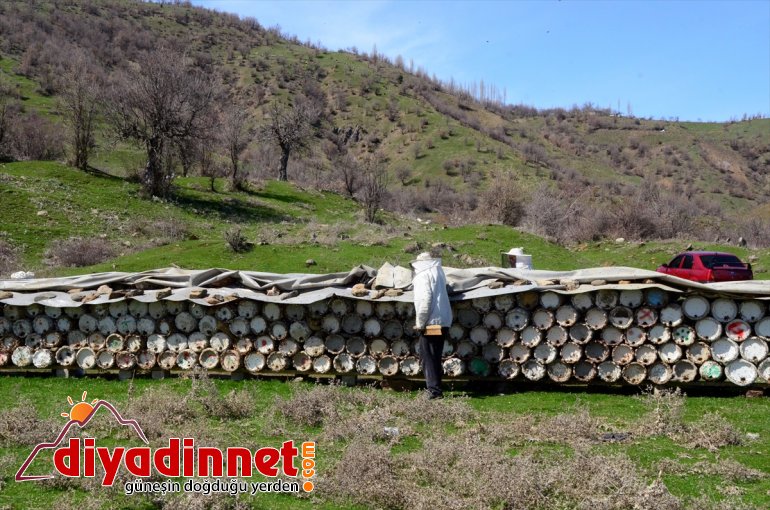 yayla hazırlığına için arıcılar kara balı başladı - kovan Hizanlı BİTLİS 7