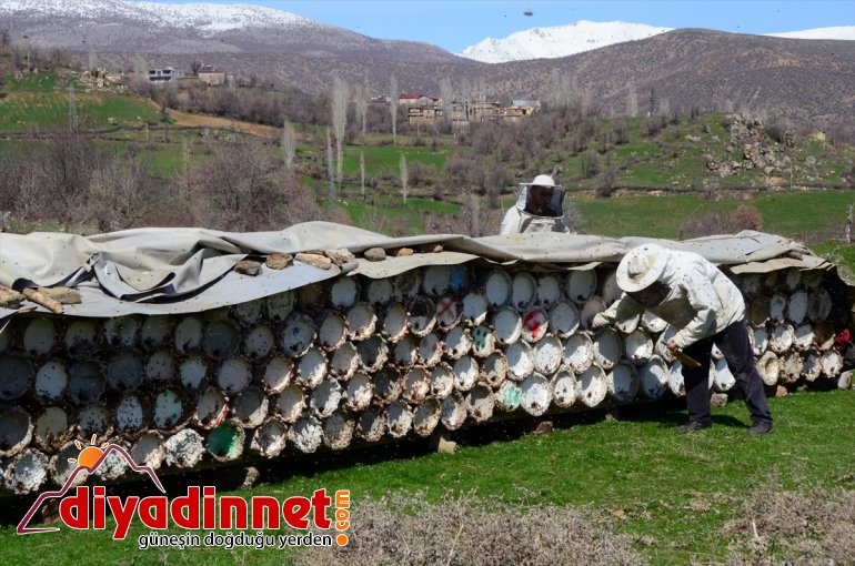 kovan - hazırlığına BİTLİS başladı yayla kara için Hizanlı arıcılar balı 5