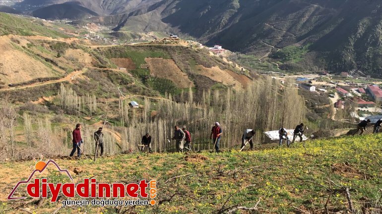 Şemdinlililerin bahar mesaisi başladı