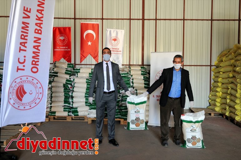 Çiftçiye dağıtımına 75 - BİNGÖL hibeli yüzde tohum başlandı 2
