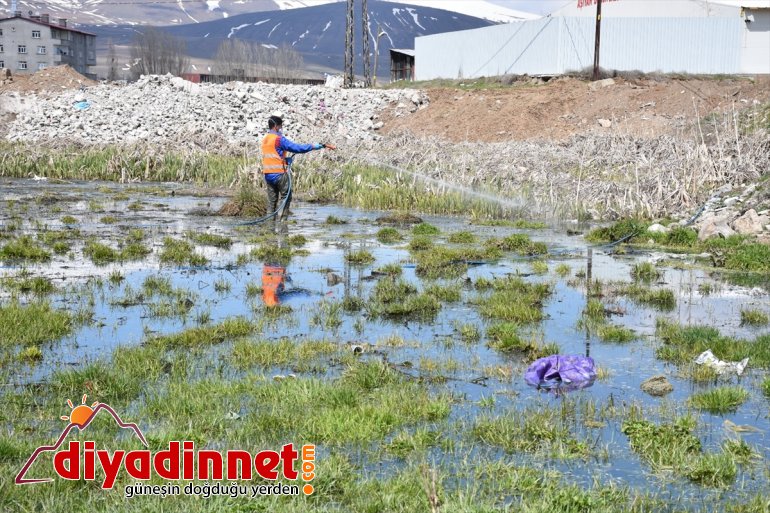 mücadele Tatvan Belediyesi vektörle çalışması başlattı 2