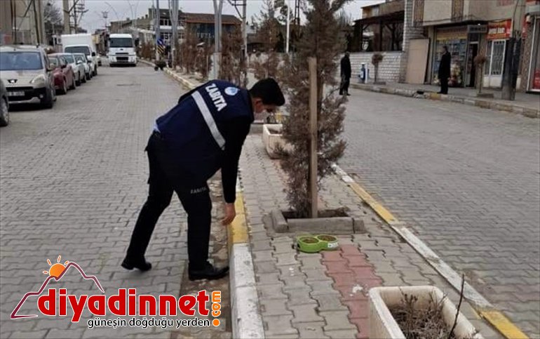unutmadı Özalp  Belediyesi hayvanlarını sokak 3