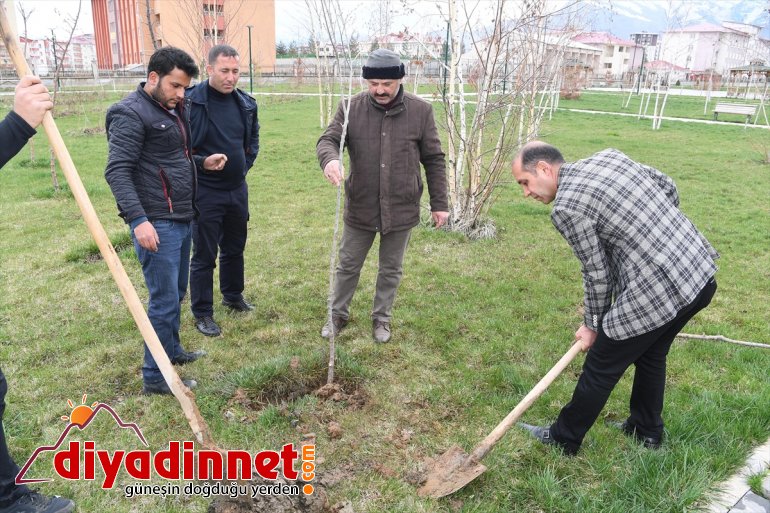 Muş dikim Belediyesinden çalışmaları ağaç 2