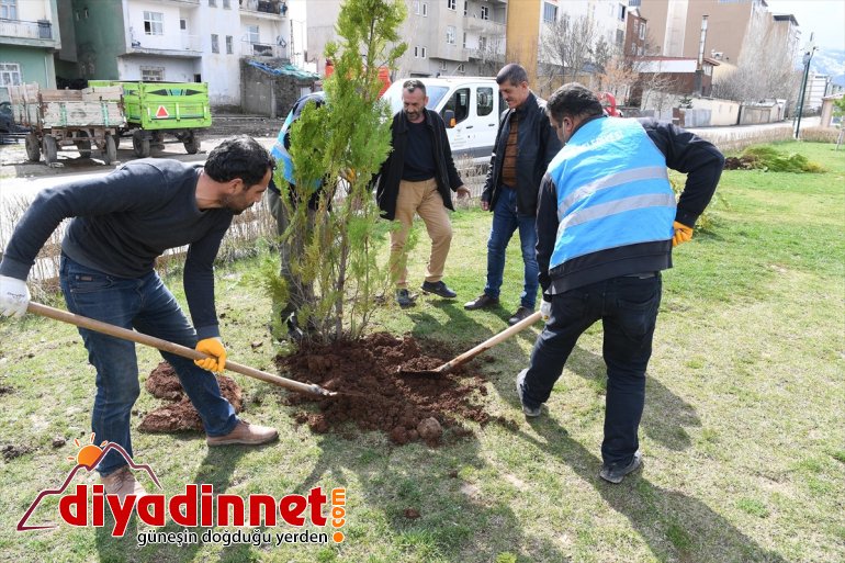 Muş Belediyesinden ağaç dikim çalışmaları