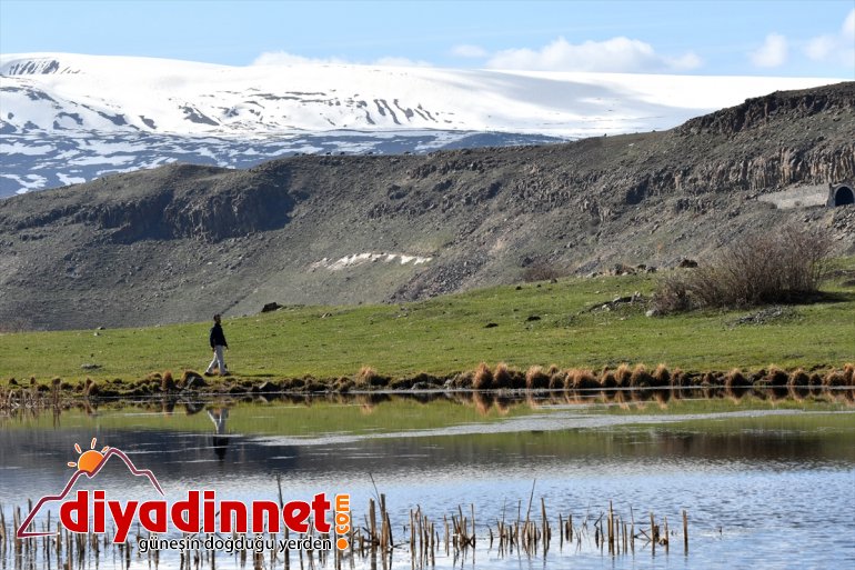 bahar kar, bir yanı Kars