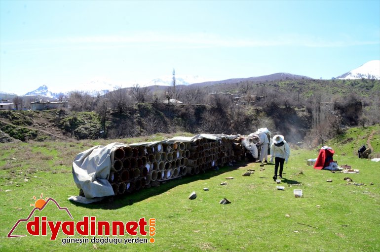 Hizanlı arıcılar kara kovan balı için yayla hazırlığına başladı
