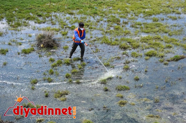 mücadele çalışması Belediyesi Tatvan başlattı vektörle 5
