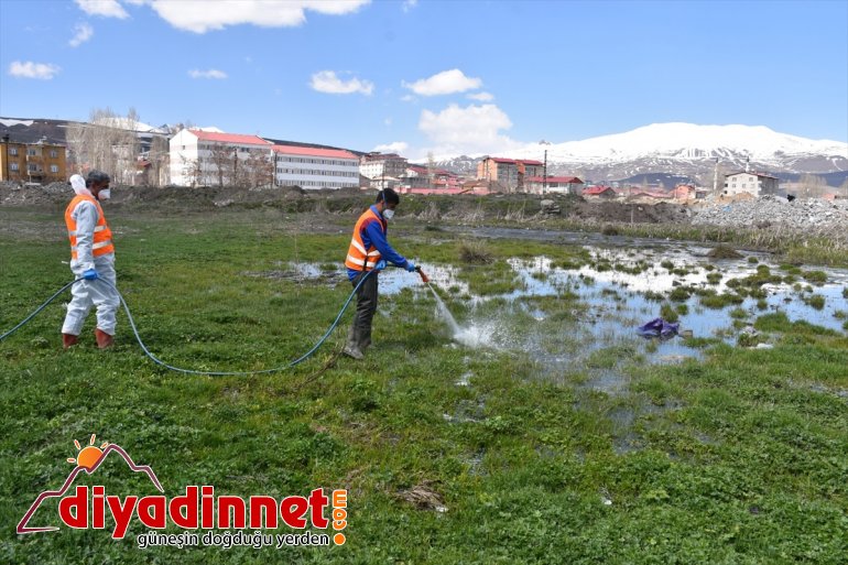 çalışması mücadele Belediyesi vektörle başlattı Tatvan 4