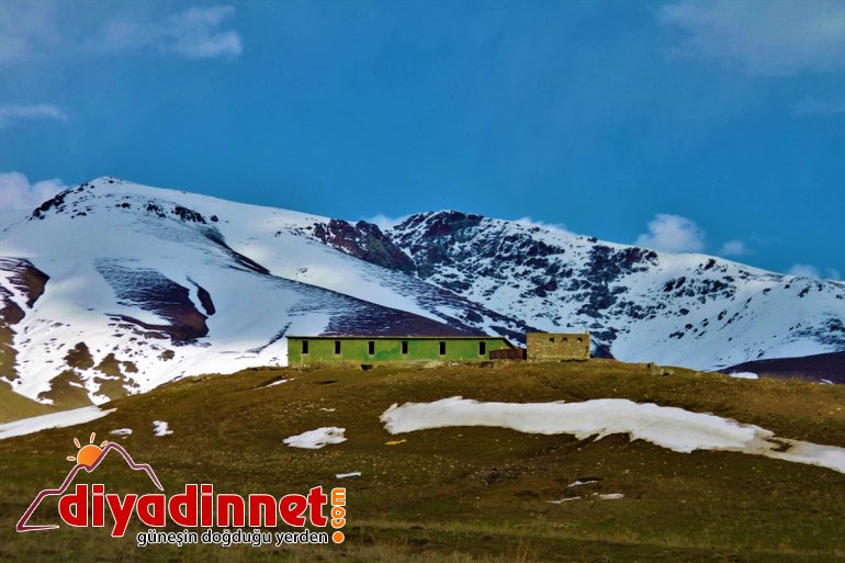 doğa ilkbaharın canlandı Saray