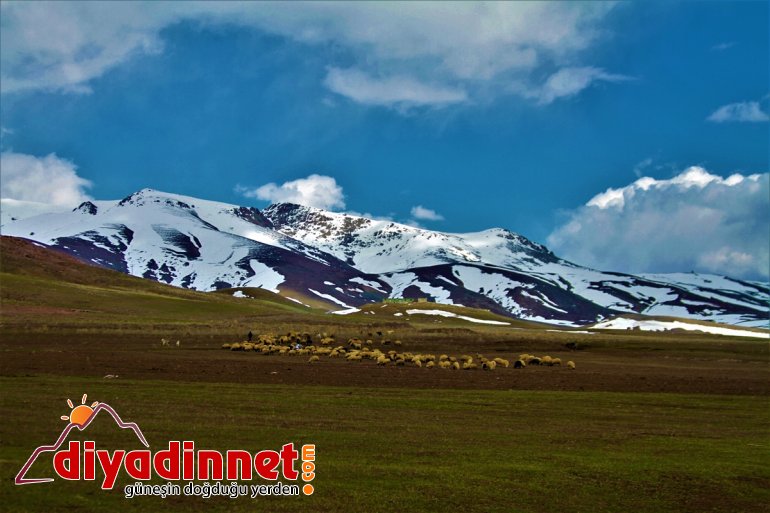 gelişiyle ilkbaharın Saray