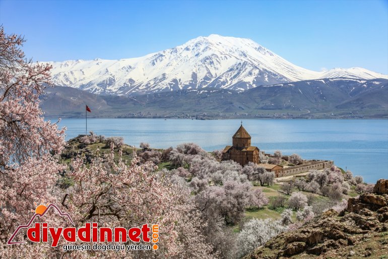 büyülüyor Adası ağaçlarıyla VAN Akdamar  badem çiçek açan - 11