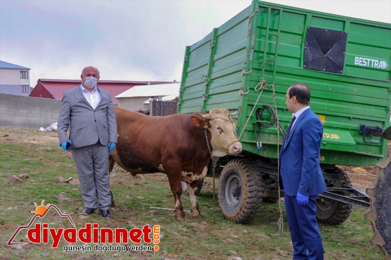 hayvanını Kampanyasına Milli çiftçi Vanlı Dayanışma büyükbaş bağışladı 4