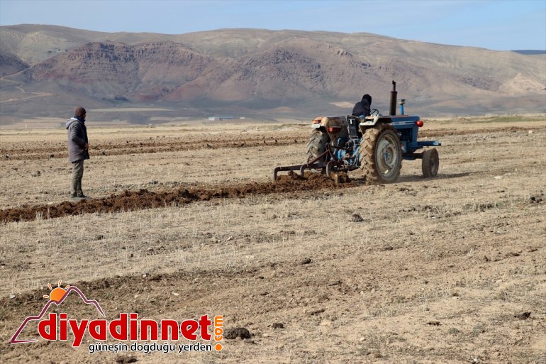 üretimde arazilerini (2) Vanlı çiftçiler için boş de devamlılık ekiyor  16