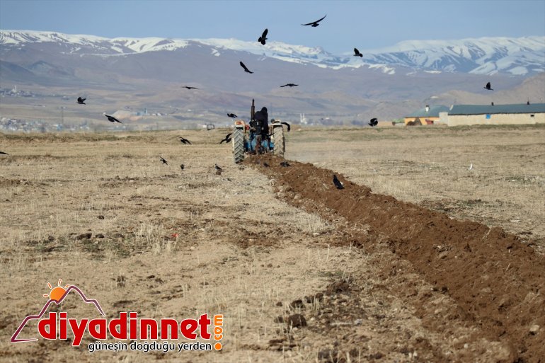 üretimde çiftçiler ekiyor arazilerini için  (2) Vanlı de devamlılık boş 17
