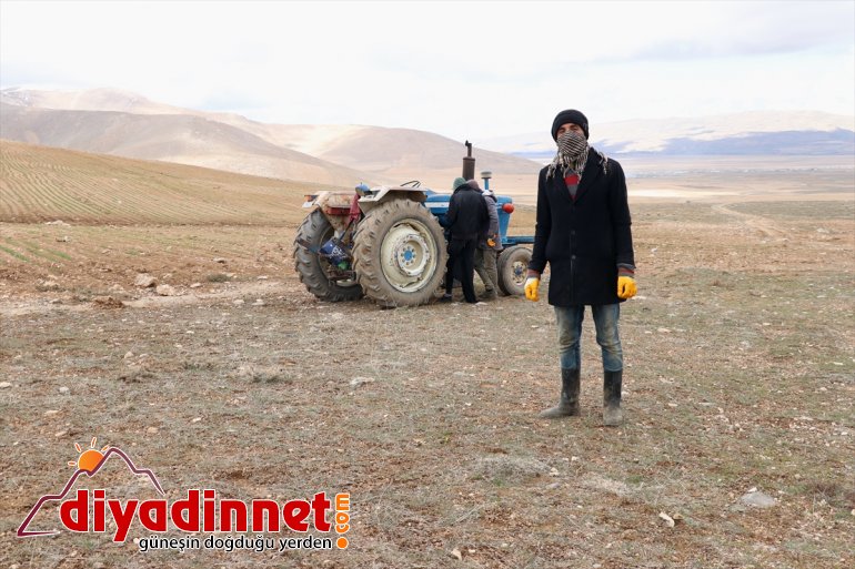 için  üretimde çiftçiler boş Vanlı ekiyor de devamlılık (2) arazilerini 20