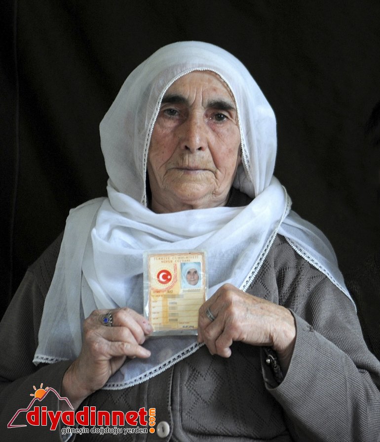 çınarları asırlık Bingöl