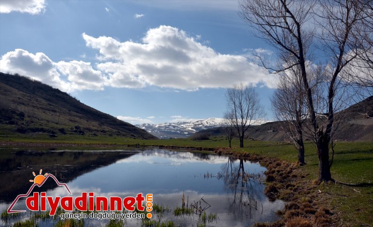 yanı bahar da yanı Kars