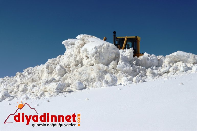 Kar yoğun nisanda da kaplanları AĞRI mesaide - 6