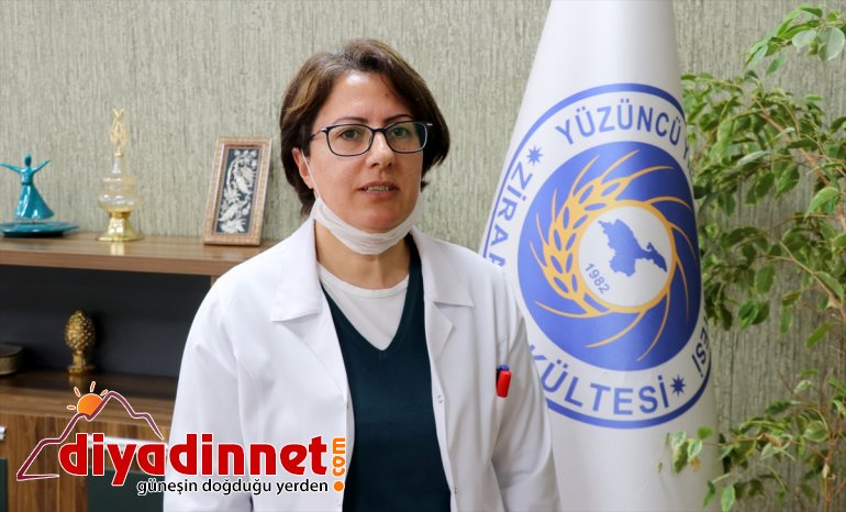 (2) boş için arazilerini Vanlı ekiyor çiftçiler üretimde de devamlılık  19