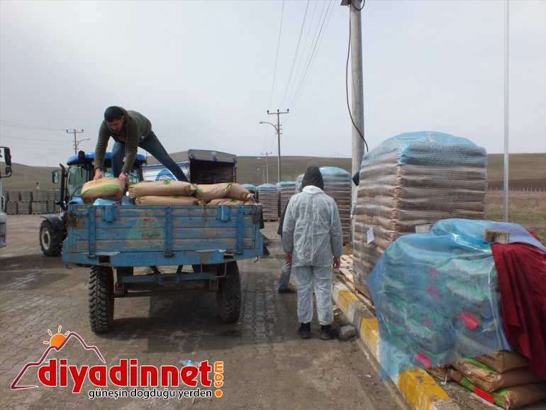 başlandı Malazgirtli - MUŞ verilmeye desteği tohum çiftçilere 2