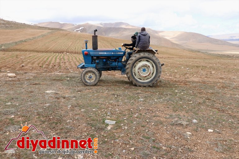 devamlılık üretimde arazilerini çiftçiler ekiyor Vanlı de boş için  (2) 7