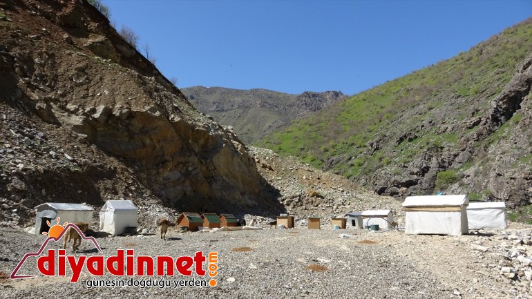 barınakları edildi Şemdinli