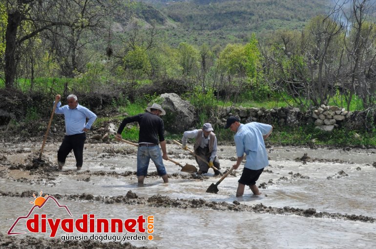 Irak usulüyle Hakkari