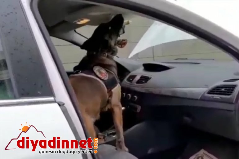 gözaltına alındı 3 Uyuşturucu kişi - ELAZIĞ operasyonunda 4