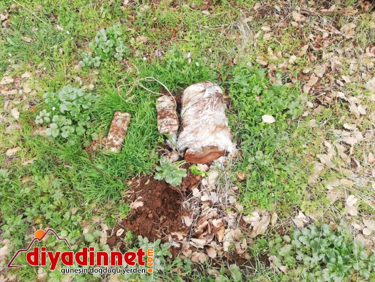 Bitlis'te toprağa gömülü 20 kilogram el yapımı patlayıcı ele geçirildi