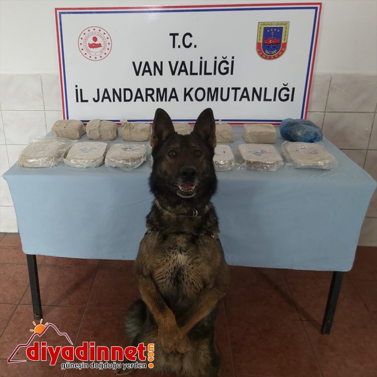 kilogram geçirildi ele Van