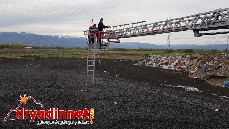 Turkey cesspool in rescued from Puppy eastern 2