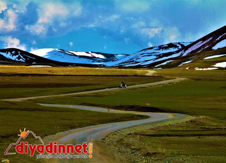 Saray'da ilkbaharın gelişiyle doğa canlandı