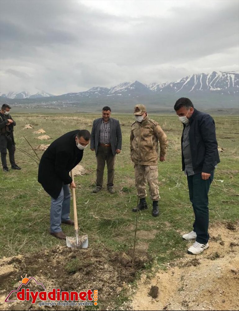 Projesi Geliştirme  Meyveciliği Muradiye