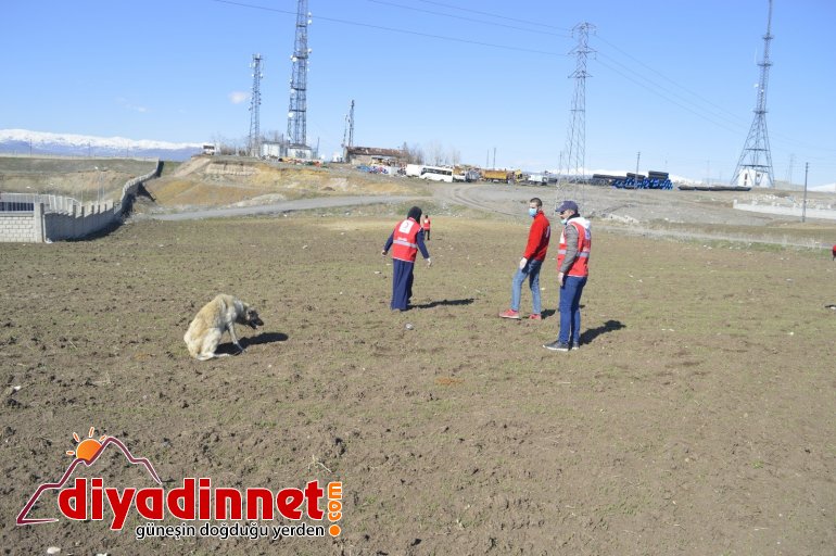 Genç Kızılay gönüllüleri sokak hayvanlarını unutmadı3