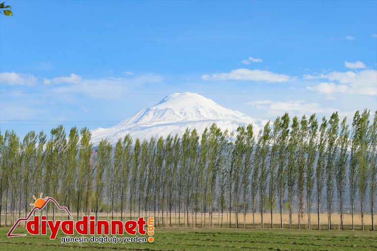 şölen görsel Türkiye