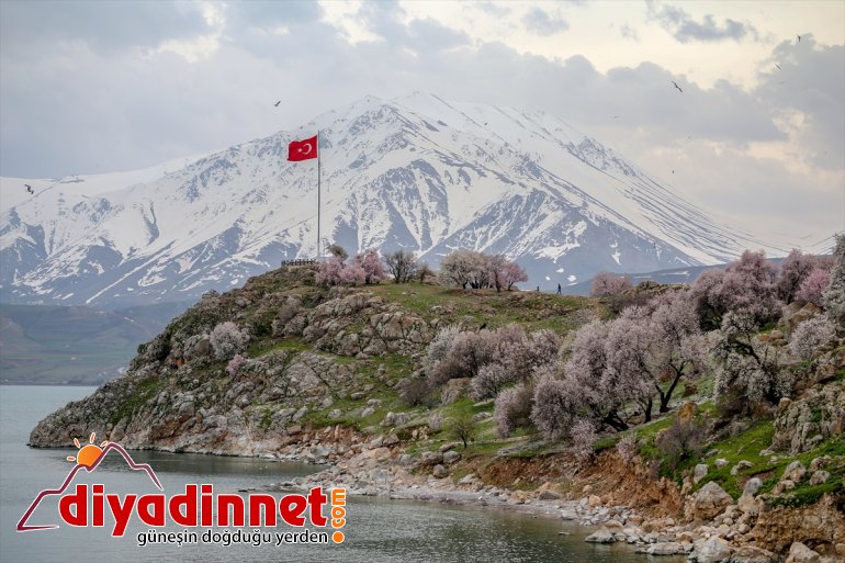 kaldı Akdamar bahar - VAN Adası