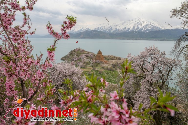 Akdamar Adası'ndaki bahar güzelliği ziyaretçisiz kaldı