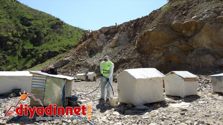 HAKKARİ barınakları Şemdinli
