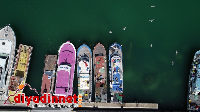 İnci kefali, av yasağı süresince havadan ve karadan korunacak