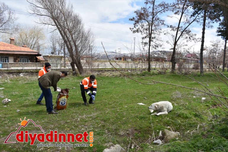 Tatvan'da sokak hayvanları için yem ve mama bırakıldı