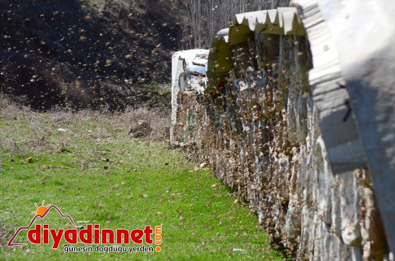 hazırlığına Hizanlı balı BİTLİS başladı yayla kara kovan arıcılar için - 2