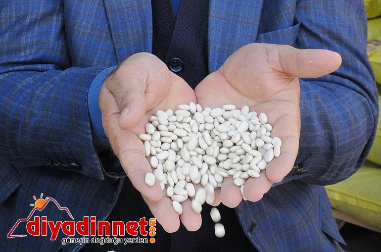 BİNGÖL - dağıtımına 75 hibeli tohum Çiftçiye yüzde başlandı 4