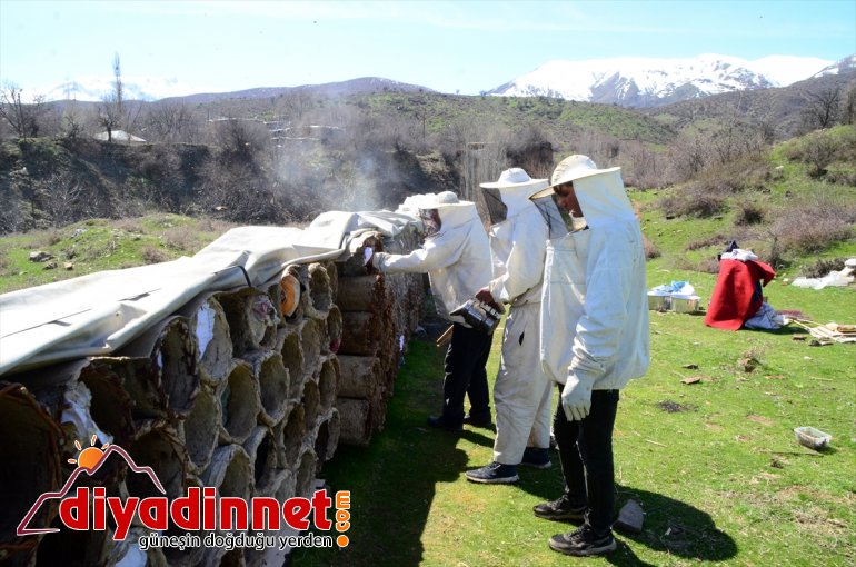 kovan balı arıcılar - hazırlığına Hizanlı için BİTLİS kara yayla başladı 13