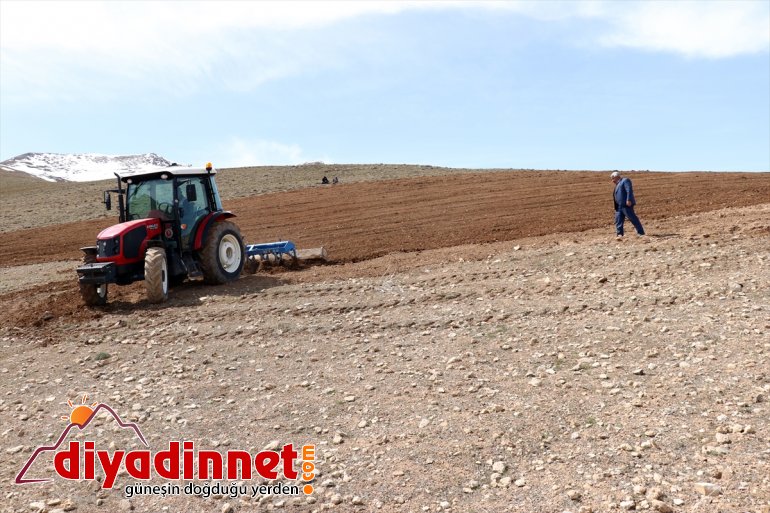 arazilerini üretimde için boş Vanlı devamlılık çiftçiler ekiyor de (2)  15