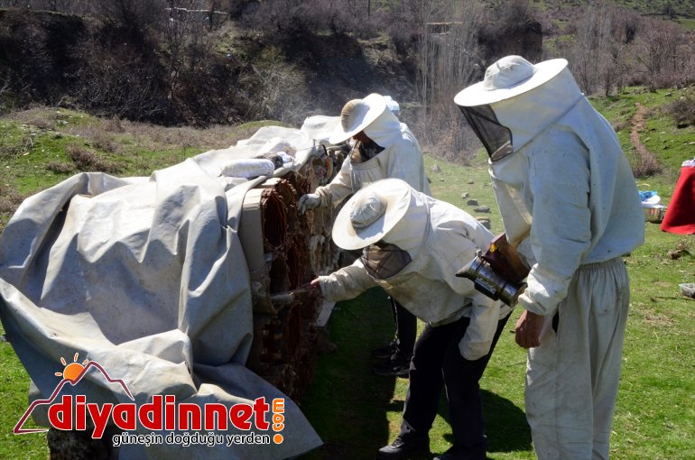 başladı BİTLİS kovan balı yayla hazırlığına kara için arıcılar Hizanlı - 6