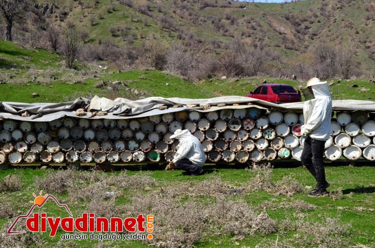 BİTLİS kara arıcılar yayla - Hizanlı başladı için hazırlığına balı kovan 12