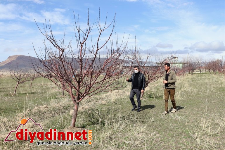 bilgilendiriliyor üretimin VAN çiftçiler - aksamaması Tarımsal için 6